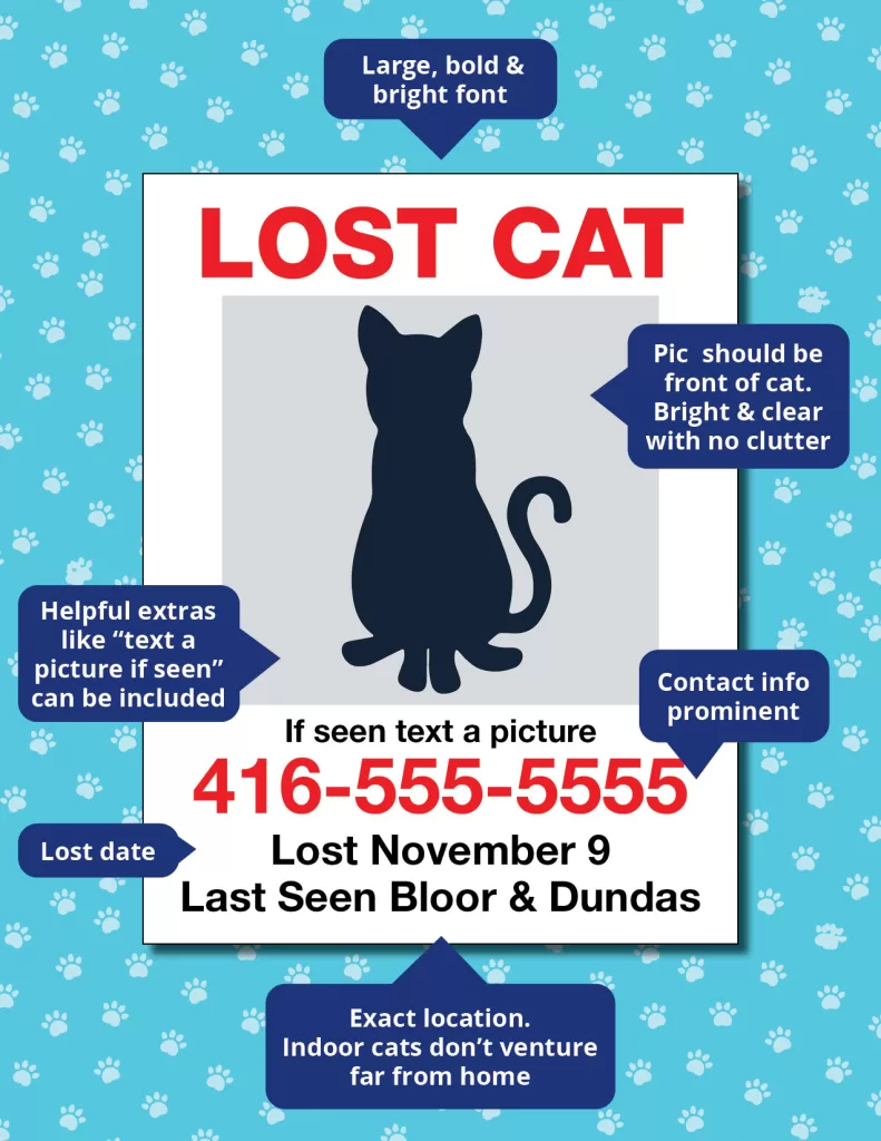 Lost Cat Poster Example