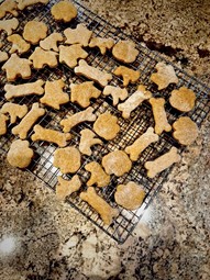 Tray of Baked Dog Biscuits