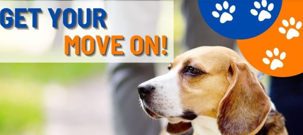 Get Your Move On Event with Dog